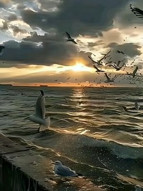 我的一生書(shū)