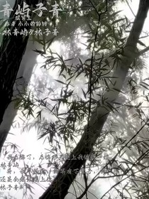 青嶼子青