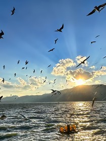 盛夏方程式（湛蓝