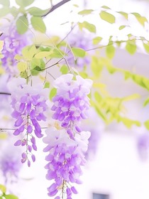 程锦衣单人向：颠倒