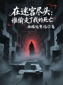 在迷宫尽头：谁偷走了我的死亡？