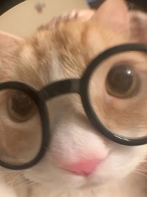 猜猜谁是主角