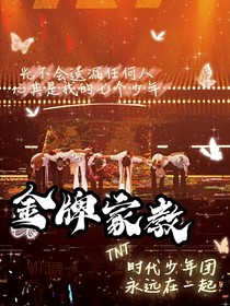 金牌家教時(shí)代少年團(tuán)篇