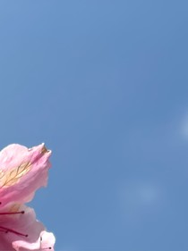 誰家室友親嘴啊