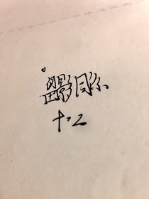 留影同你