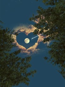你是我的心脏星云