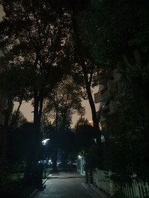 不经人