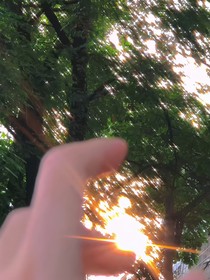 當(dāng)思念是一縷陽(yáng)光