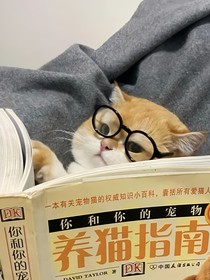 致命游戲：養(yǎng)貓日記