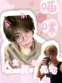 韩娱：人生真是喵喵又咪咪