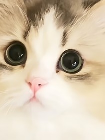 原神：不灭的首席