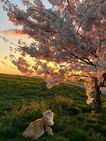 重來的楚門