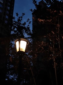 誤讀星辰指南