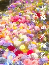 她的小太陽花