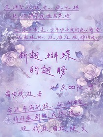 断翅蝴蝶的翅膀