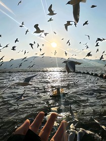 忆情暧昧