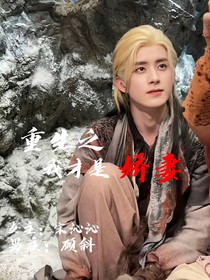 重生之我才是娇妻