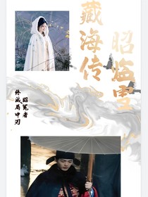 藏海传：昭临雪