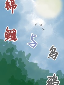 锦鲤与乌鸦