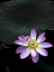 活着，挺好