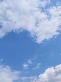冰青钰杰