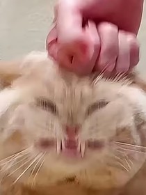 叭叭的雷达