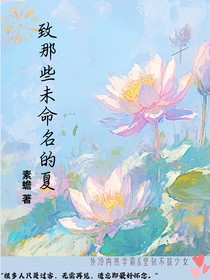 致那些未命名的夏