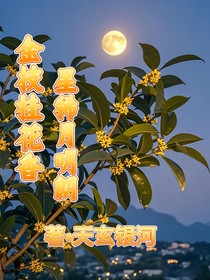 金枝桂花香，星稀月明朗