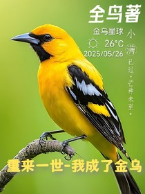 重来一世—我成了金乌