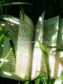 小随笔（可能有后续）