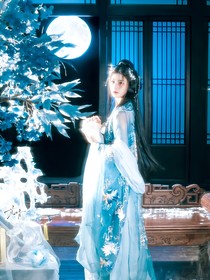 综影视：梦华颜