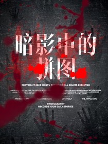 暗影中的拼图