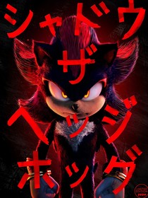 刺猬索尼克之不萎花銹