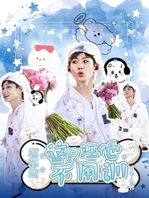 汪苏泷：这只汪他不用训