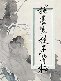 破鏡重圓：揀盡寒枝不肯棲