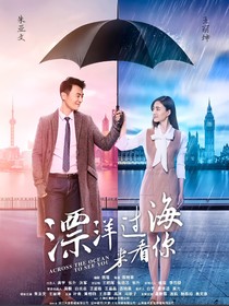 漂洋过海来看你2（续）