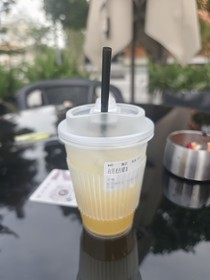 浪蕩九天