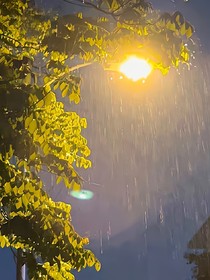 追音寻忆
