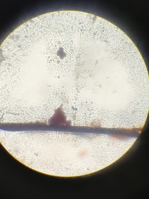 星球观察实录