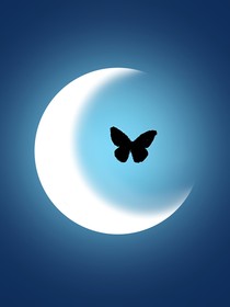 me和me的朋友的發(fā)瘋?cè)粘?/>
            <a href=