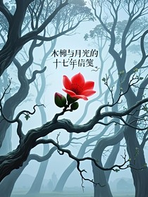 木棉与月光的十七年信笺