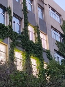 一憩长夏