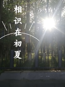 相识在初夏