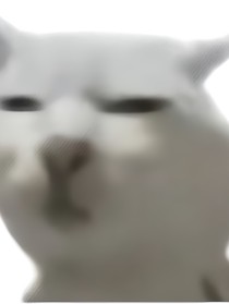 书名正在修改1748510663106040018