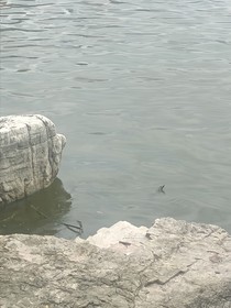 銹蝕晨光