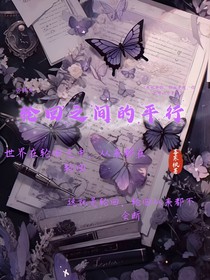 轮回之间的平行