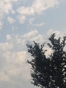 佳楠：感谢你的到来