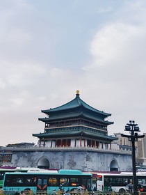 茶韵传奇：品茗之境