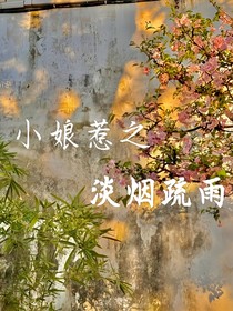 小娘惹之淡煙疏雨