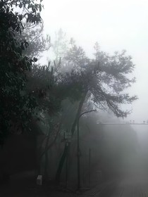 看不到下一个春天